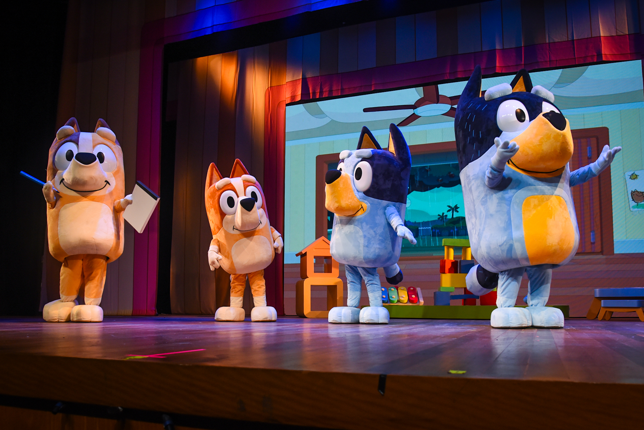 Pela primeira vez, Curitiba recebe o show oficial "Bluey Ao Vivo - Diversão em Família!" no Teatro Positivo